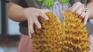 榴蓮剝好肉后，搗成泥狀。