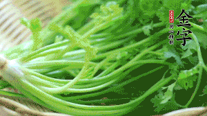 挑選鮮嫩的香菜，洗干凈后，處理成小段。