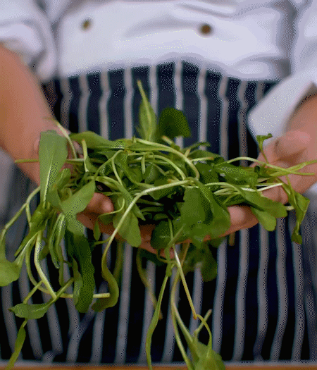 馬蘭頭焯水，切成細末。